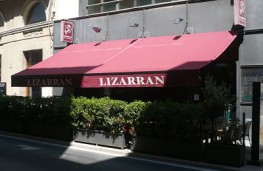 Lizarran
