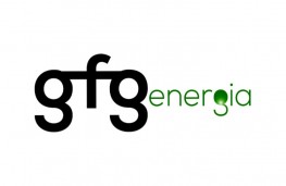 GFG ENERGIA 2014